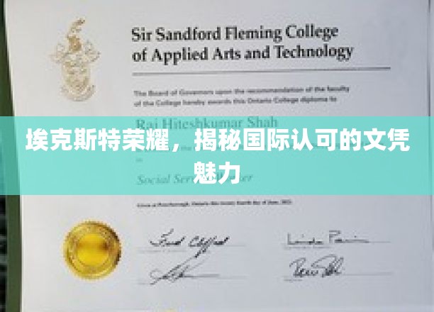 埃克斯特荣耀，探索国际文凭的璀璨魅力