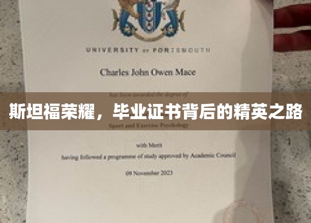斯坦福传奇，毕业证书背后的精英成长轨迹