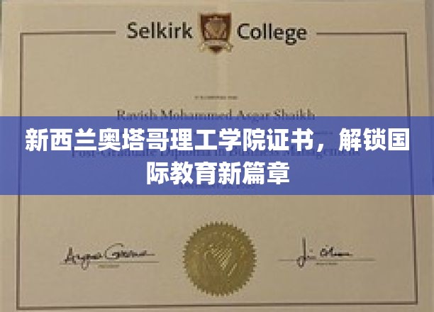 奥塔哥理工学院证书，引领全球教育新航向