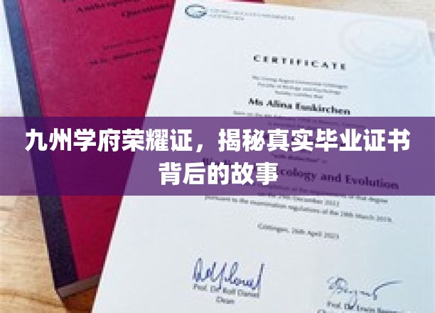 学府荣耀深藏秘，一纸证书见证传奇