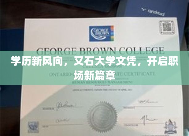 学历新纪元，又石大学文凭，引领职场未来潮流