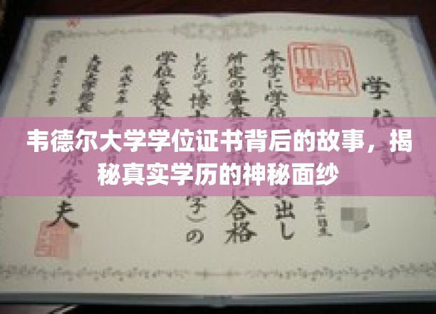 韦德尔大学学位证书背后的故事，揭秘真实学历的神秘面纱