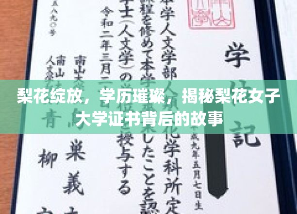 梨花绽放，学历熠熠——探寻梨花女子大学证书的非凡传奇