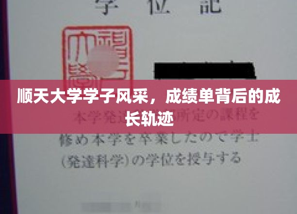 顺天学子荣耀瞬间，揭开成绩背后的青春足迹