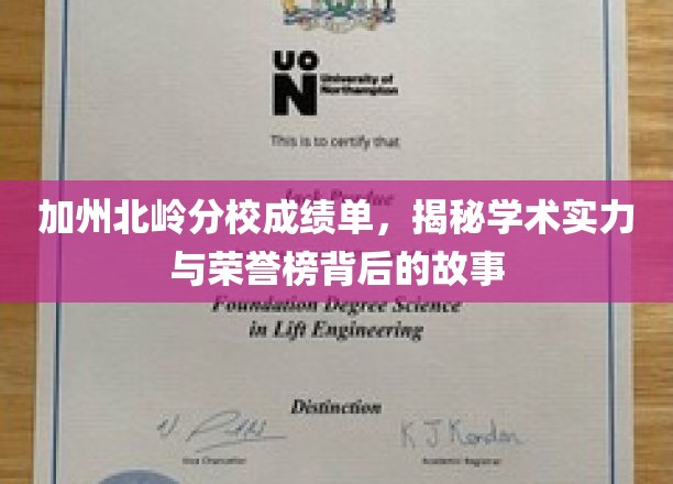 加州北岭荣耀之路，揭秘分校学术精英的成就与背后故事
