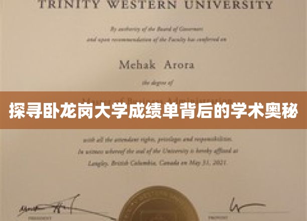 揭开卧龙岗大学成绩单背后的学术面纱