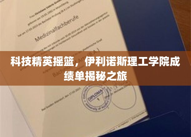 科技精英摇篮，伊利诺伊理工学院成绩单揭秘之旅