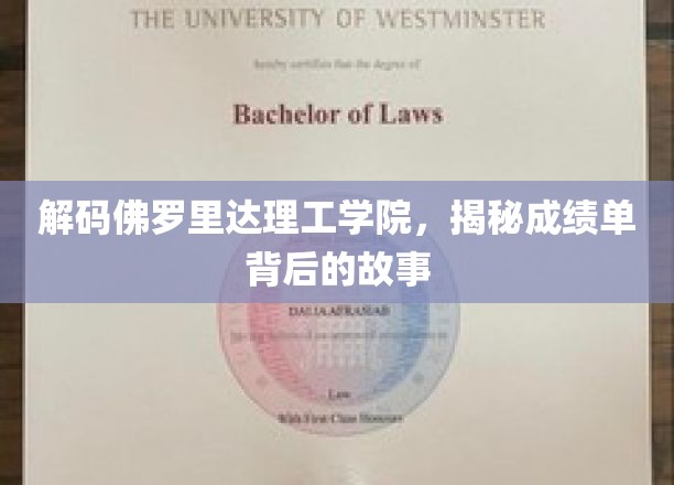 解码佛罗里达理工学院，揭秘成绩单背后的故事