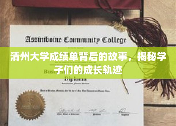 清州大学成绩单背后的故事，揭秘学子们的成长轨迹
