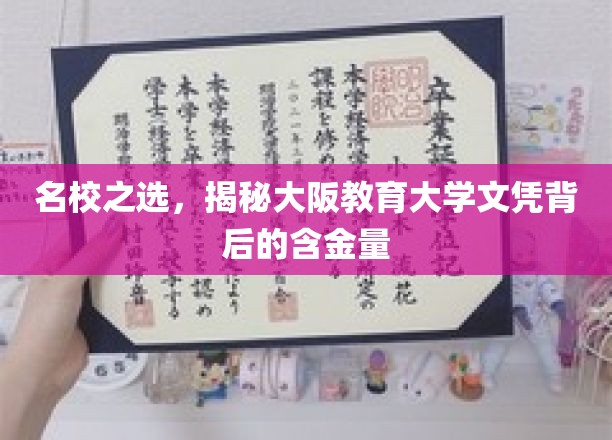 名校之选，揭秘大阪教育大学文凭的深厚价值