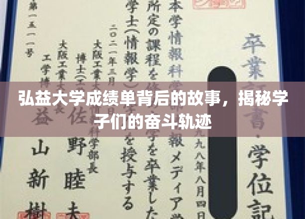 弘益大学成绩单背后的故事，揭秘学子们的奋斗轨迹