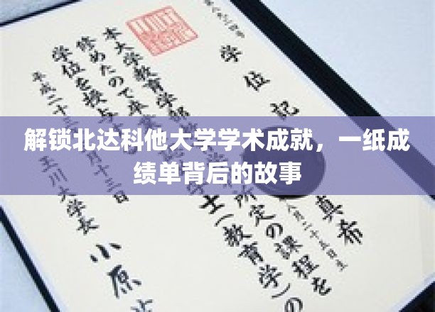 解锁北达科他大学学术成就，一纸成绩单背后的故事