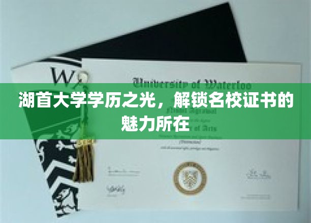 湖首大学荣耀证照，探索学历背后的无限可能