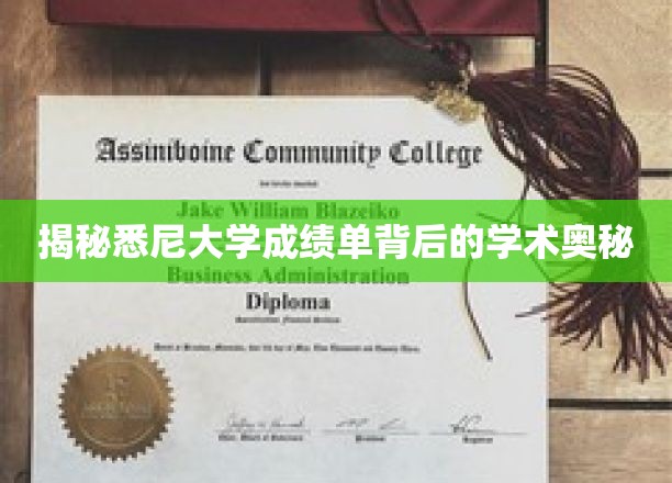 悉尼大学成绩单，探寻背后的学术世界与卓越标准