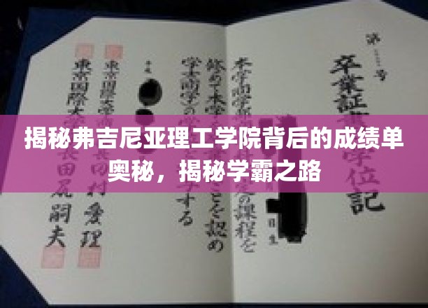 揭秘弗吉尼亚理工学院背后的成绩单奥秘，揭秘学霸之路
