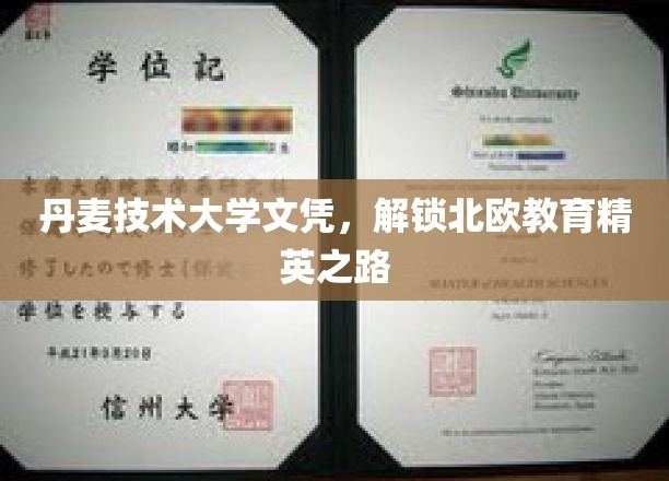 北欧精英学府通行证，丹麦技术大学文凭助你攀登职业巅峰