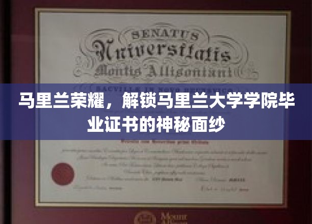 马里兰学府秘档，揭秘马里兰大学毕业证书背后的荣耀故事