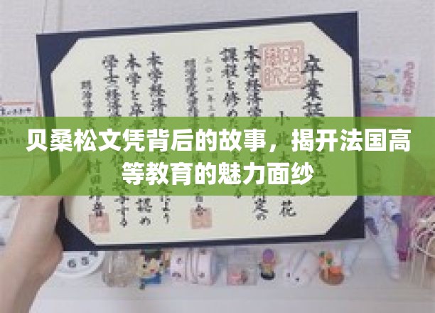 探寻贝桑松文凭背后的传奇，法国高等教育的独特魅力揭秘
