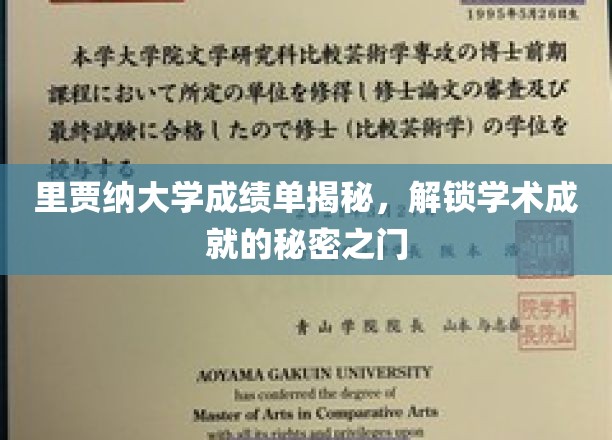探寻里贾纳大学成绩单背后的学术奥秘，解锁卓越成就的钥匙