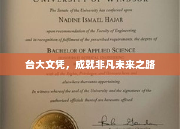 台大文凭，成就非凡未来之路