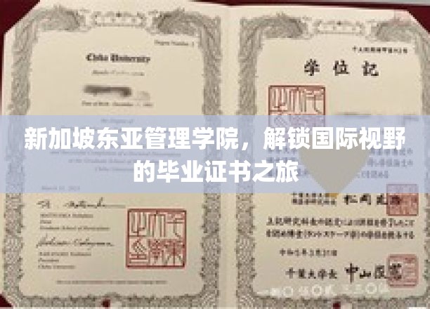跨越国界，新加坡东亚管理学院引领学子开启全球视野之旅