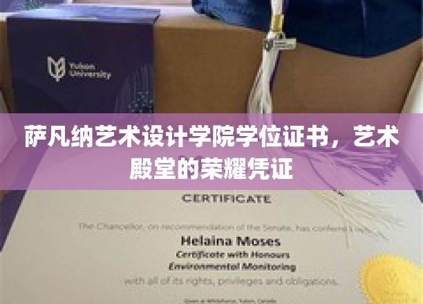 萨凡纳艺术设计学院学位证书，艺术殿堂的荣耀凭证