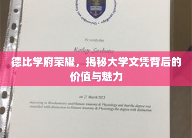 探寻德比学府之光，文凭价值与魅力背后的故事