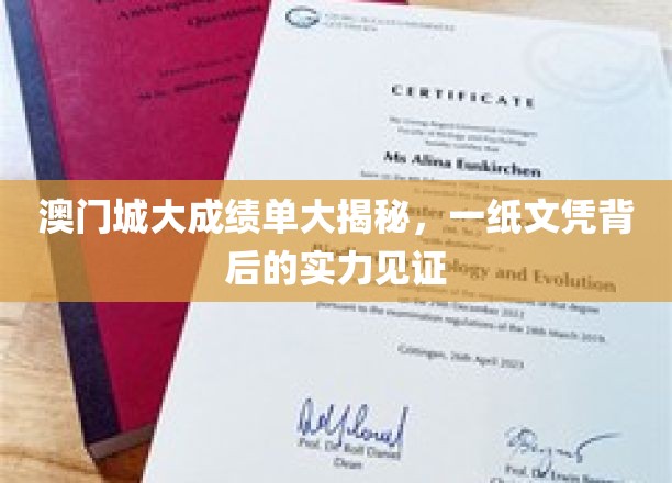 澳门城大实力解码，揭秘一纸文凭背后的卓越成就