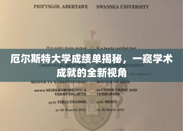 厄尔斯特大学成绩单探秘，揭开学术成就的神秘面纱