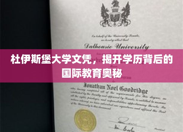 揭秘杜伊斯堡大学文凭，国际教育背后的独特魅力