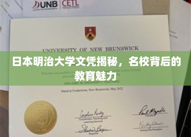 探秘明治之光，揭秘日本明治大学的教育风采与全球认可度