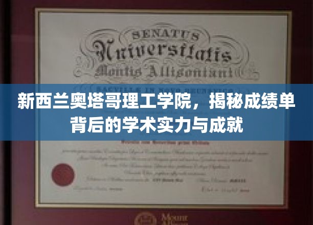 奥塔哥理工学院，揭开成绩单背后的卓越学术底蕴与辉煌成就
