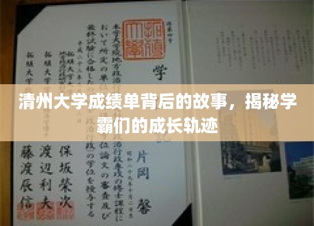清州大学成绩单背后的故事，揭秘学霸们的成长轨迹