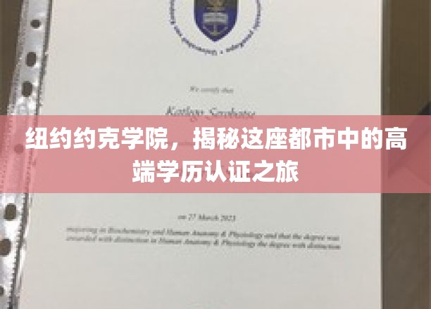 探寻纽约约克学院，都市精英的学历认证传奇之旅