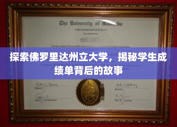 解码佛罗里达州立大学，揭开学生成绩单的隐藏秘密