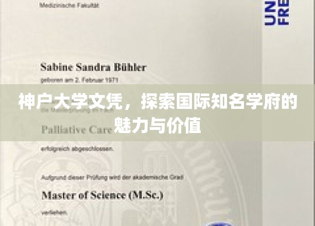 解码神户大学，国际精英摇篮的文凭奥秘与全球影响力