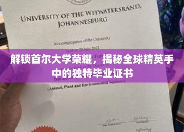 解锁首尔大学荣耀，一睹全球精英手中独特毕业证书的风采