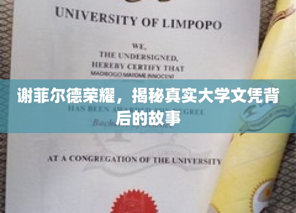 谢菲尔德荣耀，探寻大学文凭背后的传奇之路