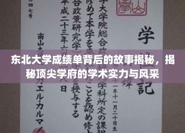 东北大学成绩单背后的传奇，探寻顶尖学府的学术魅力与卓越风采