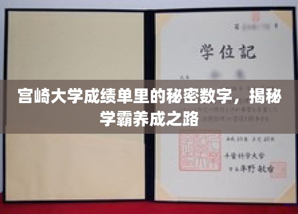 解码宫崎学霸，成绩单中的神秘数字揭示成长轨迹