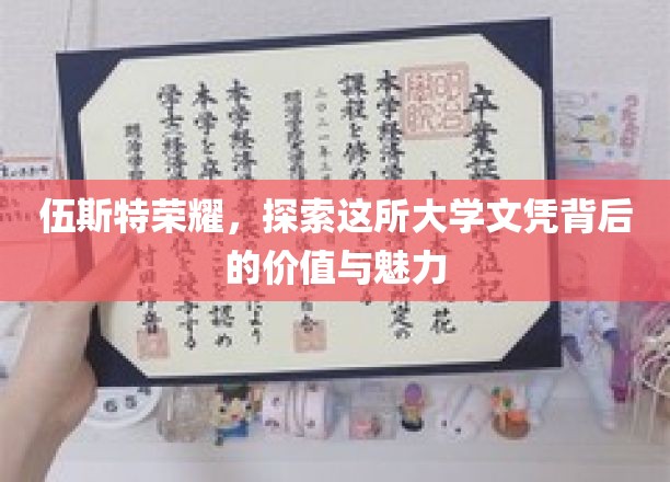 伍斯特荣耀，探索这所大学文凭背后的价值与魅力