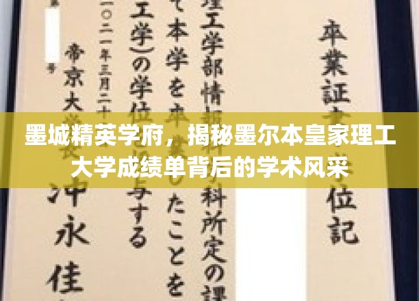 墨城学府风采，揭秘墨尔本皇家理工卓越成绩单背后的奥秘