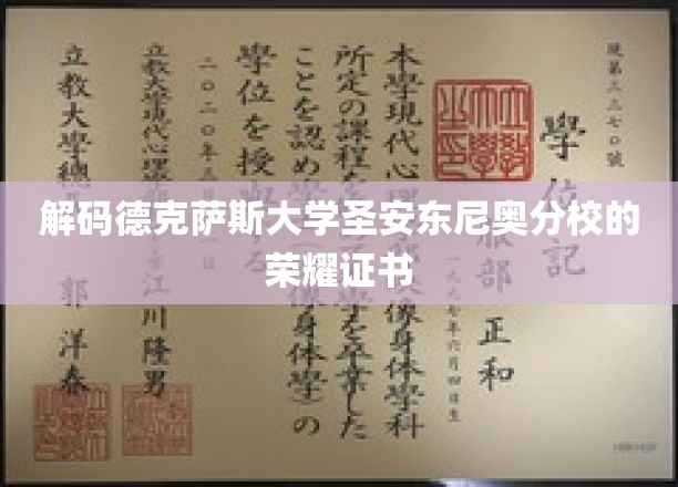 德克萨斯大学圣安东尼奥分校荣耀证书背后的神秘面纱
