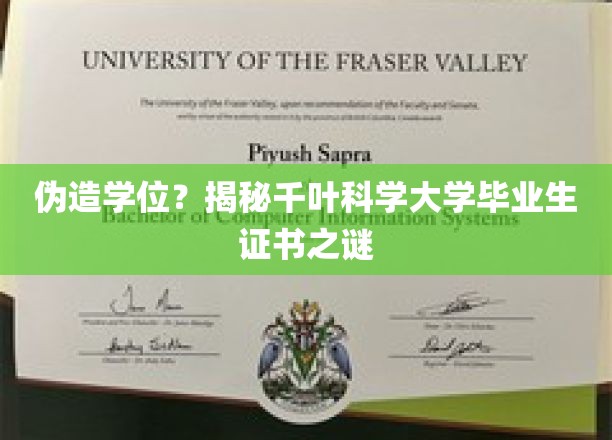 揭开千叶科学大学毕业生证书疑云，伪造学位背后真相曝光