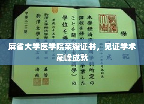 麻省大学医学院荣耀证书，见证学术巅峰成就