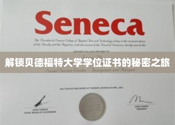 探寻贝德福特大学学位证书背后的神秘面纱