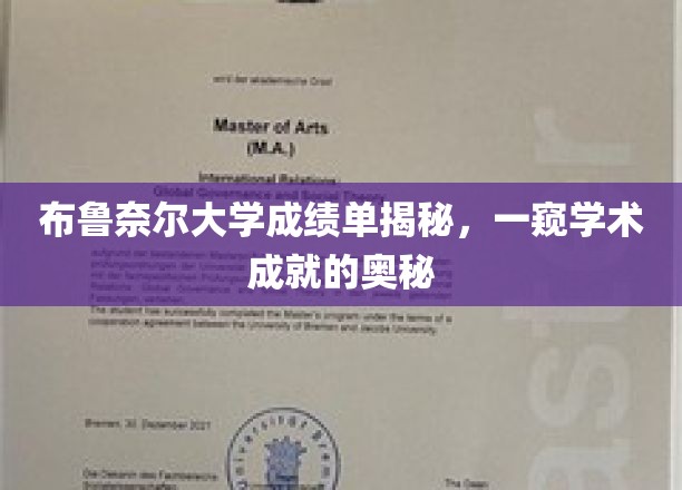 布鲁奈尔大学成绩单背后的学术秘密，揭秘卓越成就的秘密武器