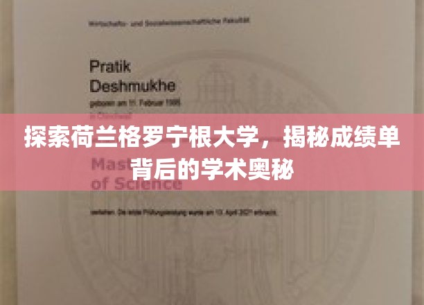 揭开格罗宁根大学成绩单，一场学术成就的深度探秘
