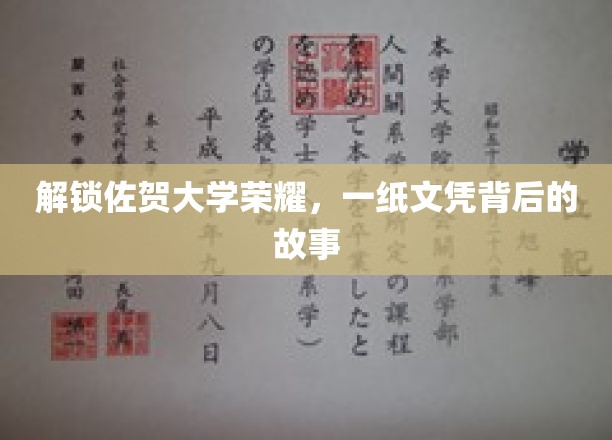佐贺大学荣耀揭晓，探寻一纸文凭背后的传奇历程