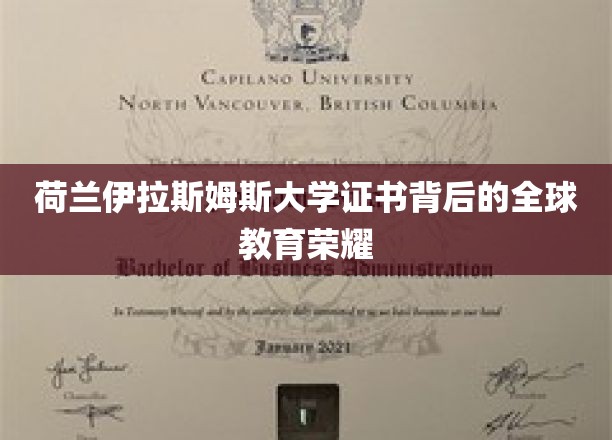 荷兰伊拉斯姆斯大学证书彰显全球教育荣耀
